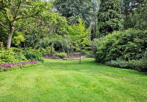 Optimiser l'expérience du jardin à Bourdeau